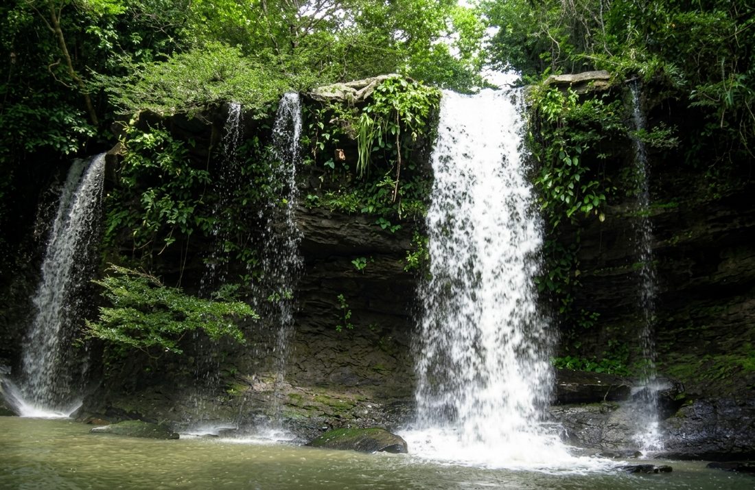 Cascada entre la vegetación